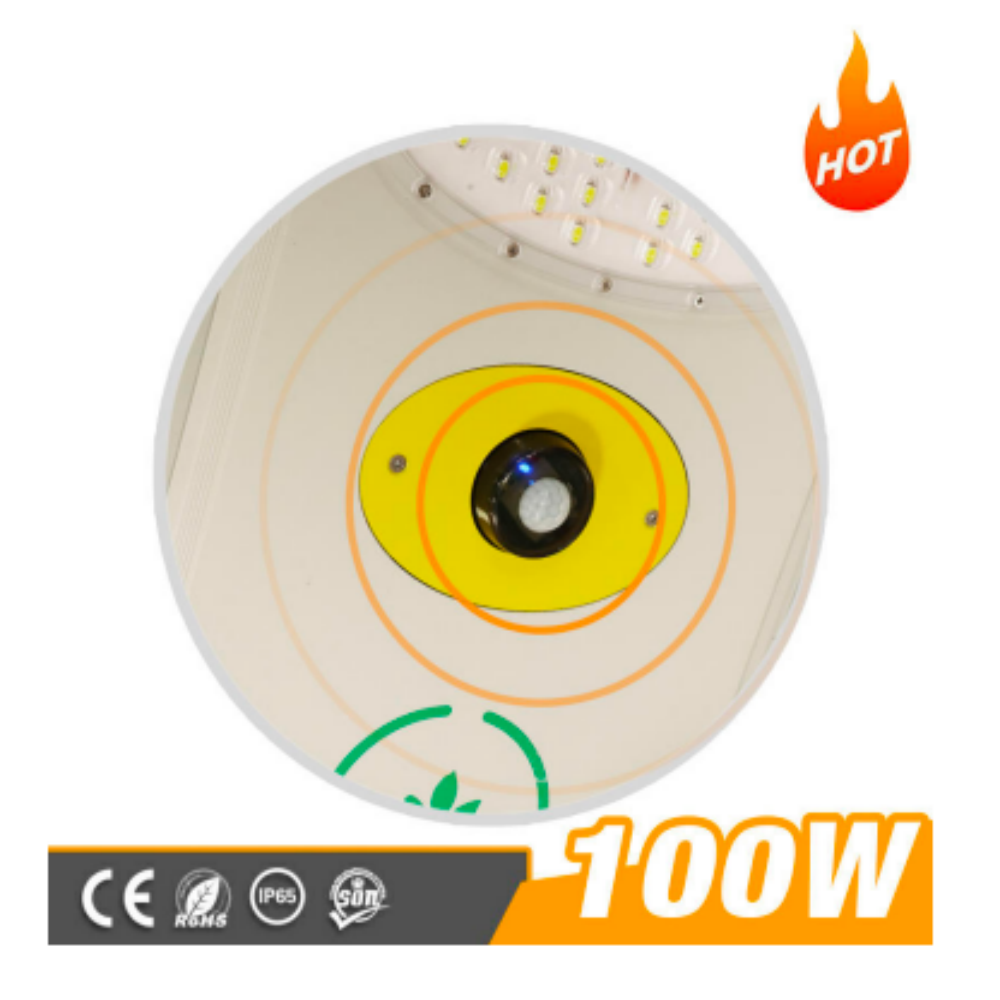 Die-cast Aluminum All in One Integrated Outdoor Motion Sensor Control Solar Street Light for Government Project