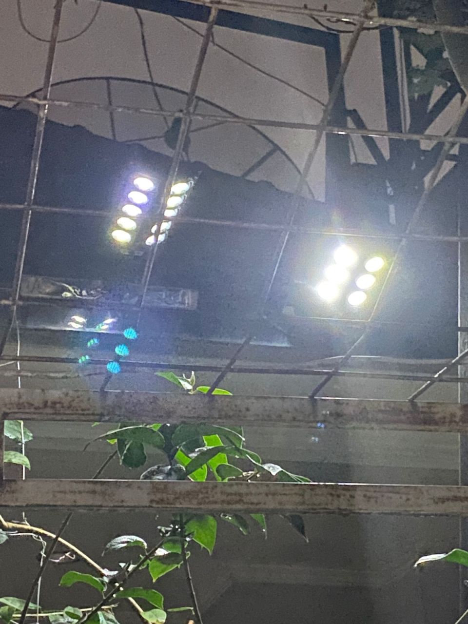 63bcf0b2ac9bb8f2b4b3bdea9a8ff7c2